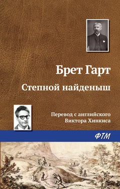 Фрэнсис Брет Гарт Степной найденыш обложка книги