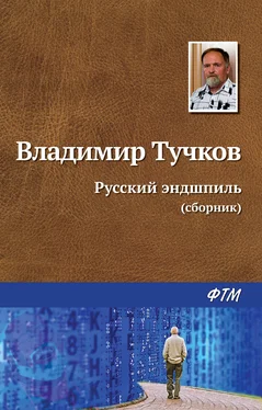 Владимир Тучков Русский эндшпиль обложка книги