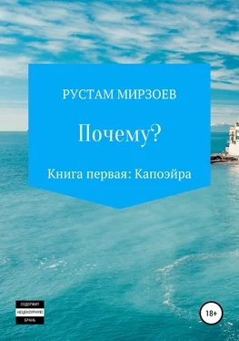 Рустам Мирзоев Почему? Книга первая – Капоэйра обложка книги