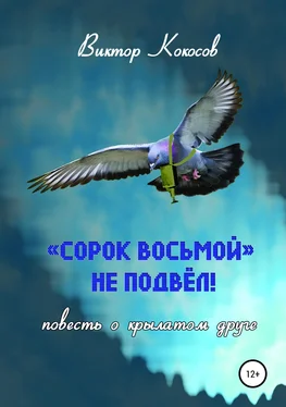 Виктор Кокосов «Сорок восьмой» не подвёл (повесть о крылатом друге) обложка книги