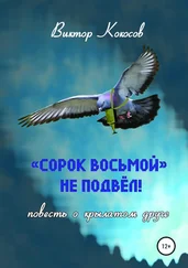 Виктор Кокосов - «Сорок восьмой» не подвёл (повесть о крылатом друге)