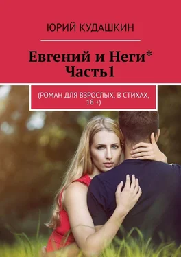 Юрий Кудашкин Евгений и Неги*. Часть1. (Роман для взрослых, в стихах, 18 +) обложка книги