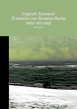 Сергей Луговой В твоём сне должно быть что-то ещё. Рассказы обложка книги