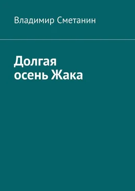 Владимир Сметанин Долгая осень Жака обложка книги