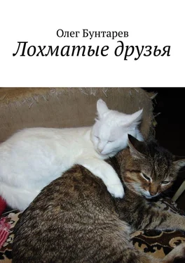 Олег Бунтарев Лохматые друзья обложка книги