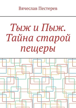 Вячеслав Пестерев Тыж и Пыж. Тайна старой пещеры обложка книги