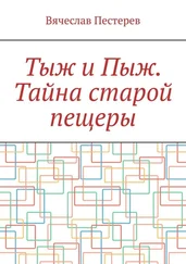 Вячеслав Пестерев - Тыж и Пыж. Тайна старой пещеры