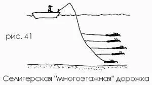 На Селигере проблема решается просто вместо спиннинга здесь ловят судака - фото 41