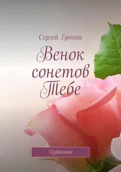 Сергей Ерохин - Венок сонетов Тебе. Избранное