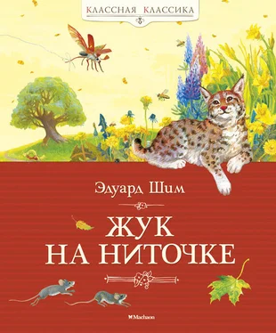 Эдуард Шим Жук на ниточке (сборник) обложка книги