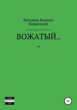 Кирилл Килунин ВОЖАТЫЙ… обложка книги