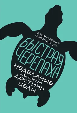 Дайана Реннер Быстрая черепаха обложка книги