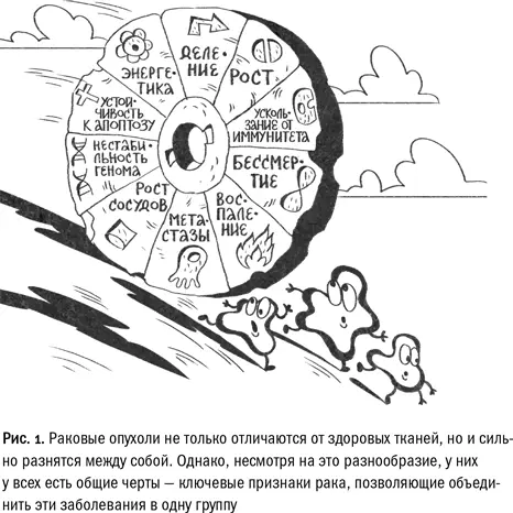 Почему же рак привлекает такое внимание исследователей причем не только - фото 1
