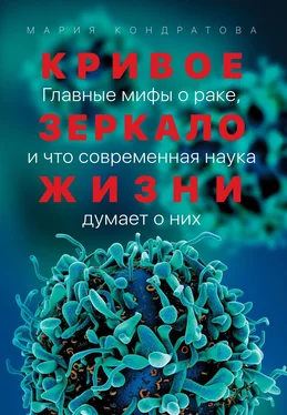 Мария Кондратова Кривое зеркало жизни обложка книги