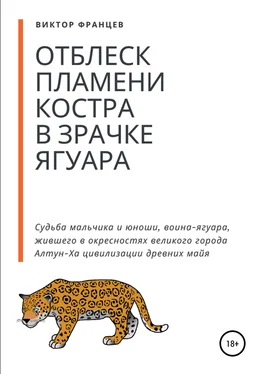 Виктор Францев Отблеск пламени костра в зрачке ягуара обложка книги