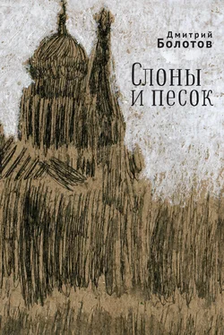 Дмитрий Болотов Слоны и песок обложка книги
