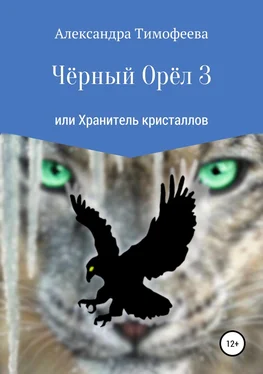 Александра Тимофеева Чёрный Орёл 3 или Хранитель кристаллов обложка книги