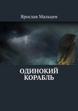 Ярослав Мальцев Одинокий корабль обложка книги