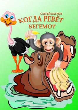 Сергей Багров Когда ревёт бегемот обложка книги