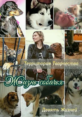 Валентина Спирина Жизнь собачья. Девять Жизней