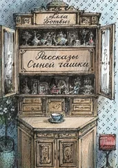 Алла Ботвич - Рассказы Синей чашки