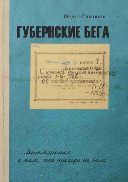 Федот Симонов Губернские бега. Сон русского человека обложка книги