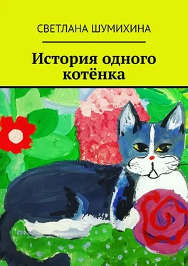 Светлана Шумихина История одного котёнка