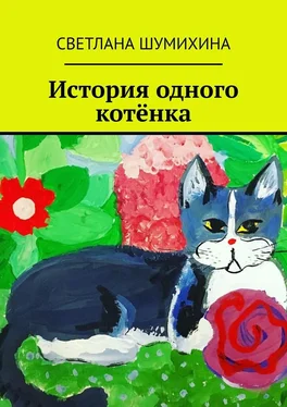 Светлана Шумихина История одного котёнка обложка книги