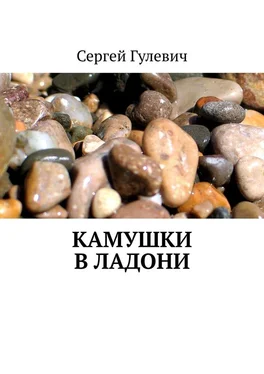 Сергей Гулевич Камушки в ладони обложка книги