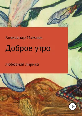 Александр Мамлюк Доброе утро обложка книги