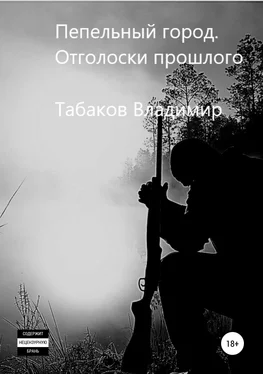 Владимир Табаков Пепельный город. Отголоски прошлого обложка книги