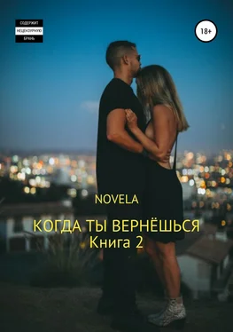 Novela Когда ты вернешься. Книга 2 обложка книги