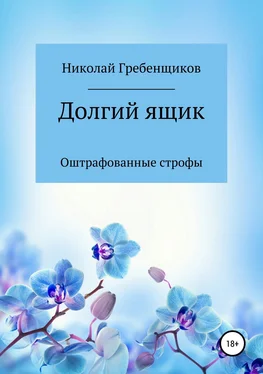 Николай Гребенщиков Долгий ящик обложка книги