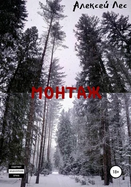 Алексей Лес Монтаж обложка книги