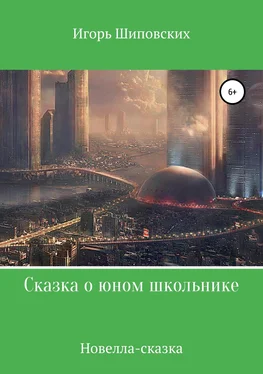 Игорь Шиповских Сказка о юном школьнике обложка книги