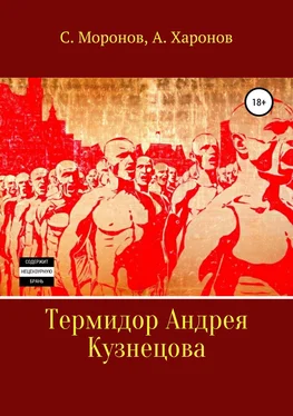 Александр Харонов Термидор Андрея Кузнецова обложка книги