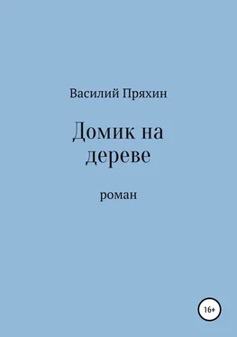 Василий Пряхин Домик на дереве обложка книги