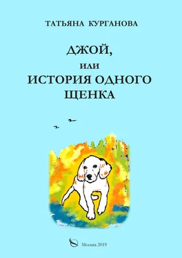 Татьяна Курганова Джой, или История одного щенка обложка книги