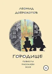 Леонид Доброхотов - Городище