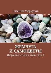 Евгений Меркулов - Жемчуга и самоцветы. Избранные стихи и песни. Том 2