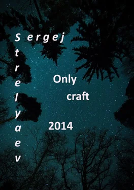 Sergej Strelyaev Only craft обложка книги