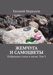 Евгений Меркулов - Жемчуга и самоцветы. Избранные стихи и песни. Том 3