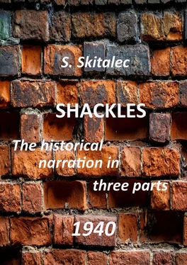 S. Skitalec Shackles обложка книги