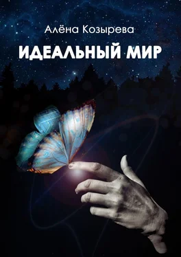 Алена Козырева Идеальный мир обложка книги