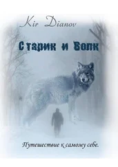 Kir Dianov - Старик и Волк. Путешествие к самому себе