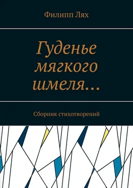 Филипп Лях Гуденье мягкого шмеля… Сборник стихотворений обложка книги