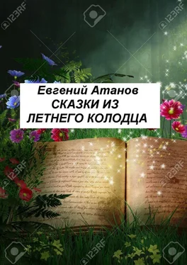 Евгений Атанов Сказки из летнего колодца обложка книги