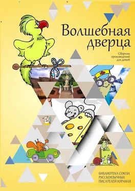 Ирина Явчуновская Волшебная дверца. Сборник произведений для детей обложка книги