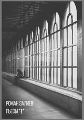 Роман Залиев - Пьесы «I»
