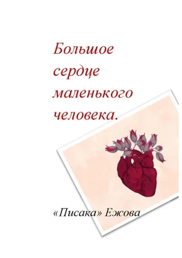 «Писака» Ежова Большое сердце маленького человека обложка книги